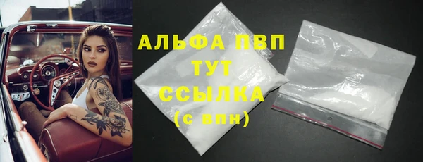 дживик Арсеньев