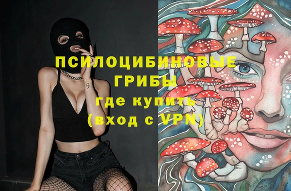 дживик Арсеньев