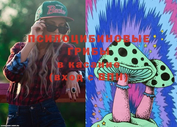 мет Аркадак