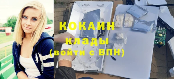 дживик Арсеньев