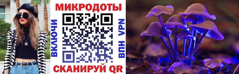 купить цена Ветлуга Псилоцибиновые грибы мухоморы