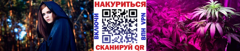 Бошки Шишки семена Ветлуга